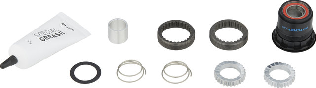 DT Swiss Kit de actualización 3 Pawl para Ratchet LN - acero/SRAM XD/3 trinquetes/SRAM XD