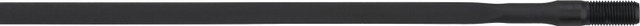 Campagnolo Shamal Ultra / Eurus Spare Spokes Models as of 2010 - black/279 mm, 280 mm