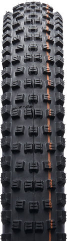 Schwalbe Cubierta Plegable Wicked Will Evolution ADDIX Soft Super Race 29" - negro-transparente/62 mm/2.4 /29 /62-622