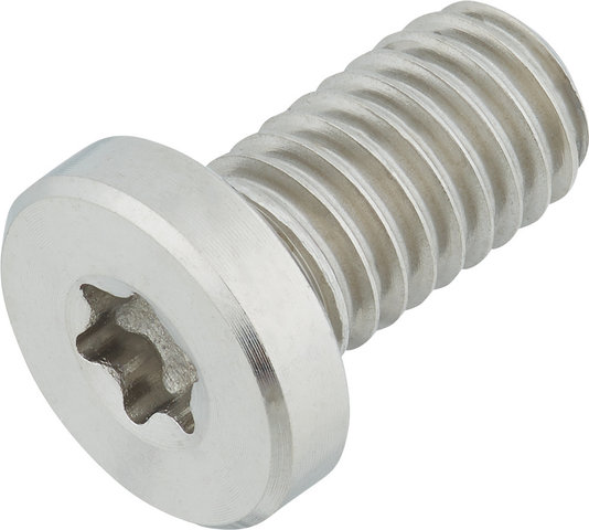 77designz Ti Bolt Titanium Bolt - natural/M6x11