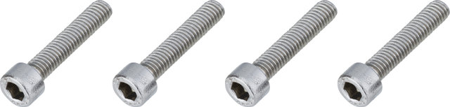 Burgtec Bolts for Direct-Mount Stem Spacers - silver/M6x30