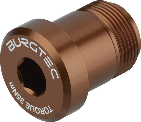 Burgtec SRAM T-Type Derailleur Bolt – Bolt 2 - kash bronze