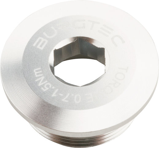 Burgtec Kurbelarmschraube für Shimano Hollowtech II/E-Bike Motor - rhodium silver
