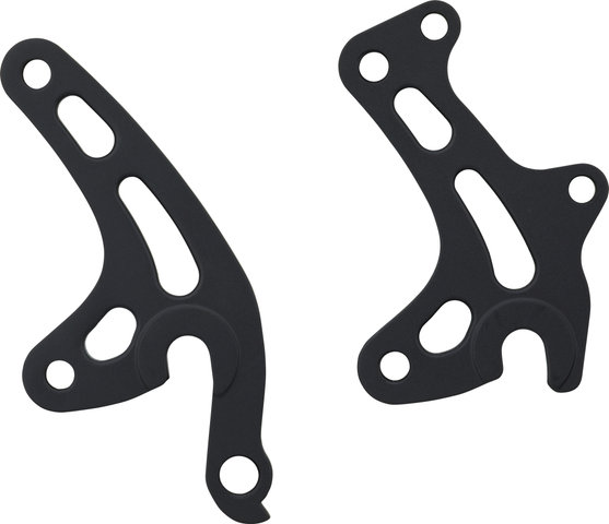 Santa Cruz Derailleur Hanger for Hardtails - universal/type 2