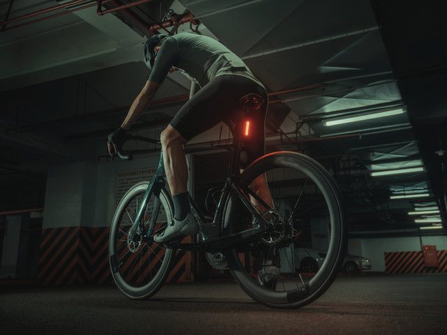 Topeak BeSeen Mega LED rear light with StVZO approval - black-red