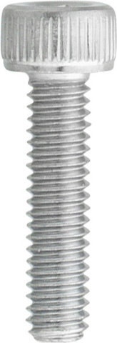 FOCUS Schaltauge für Paralane Carbon - universal