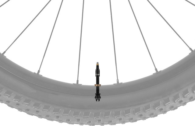 Topeak Tubeless Ventil TurboFlow - black | SV | 45 mm