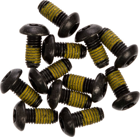 Magura Brake Rotor Bolts - universal