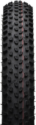 Schwalbe Pneu Souple Racing Ray Evolution ADDIX Speed Super Race 29" - noir-transparent skin/29 /60 /60-622/2.35 