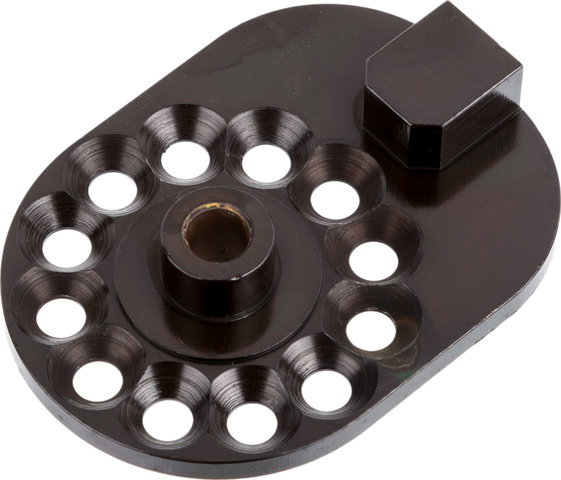Rohloff Plaque d'Axe CC OEM - universal