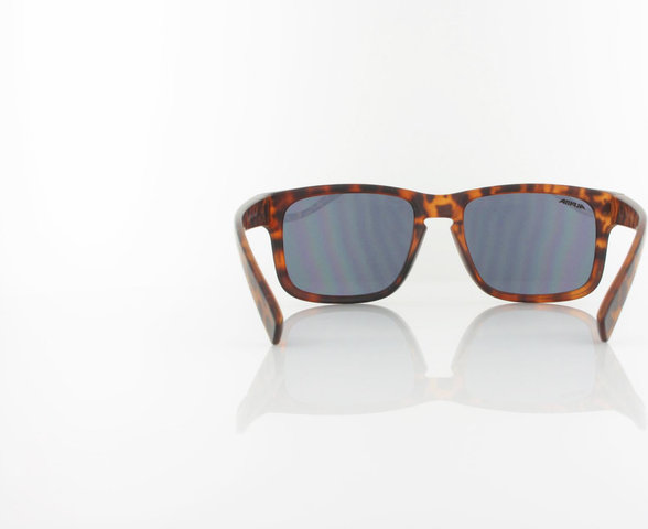 Alpina Lunettes de Sport Kosmic - havana mat | black