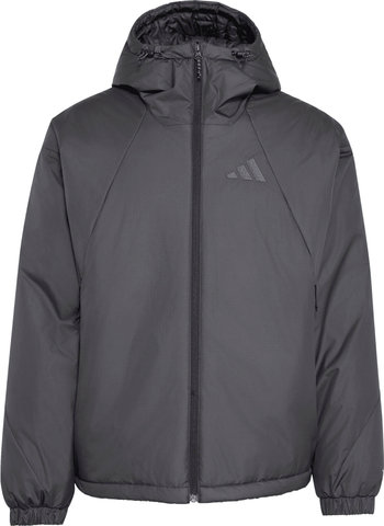 adidas Outdoor Veste TERREX Multi Primaloft - black | M