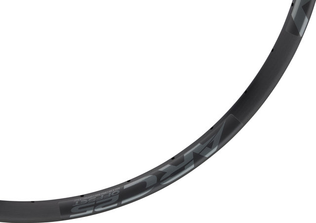 Easton ARC 25 Offset 28" Disc Rim - grey/32/28"