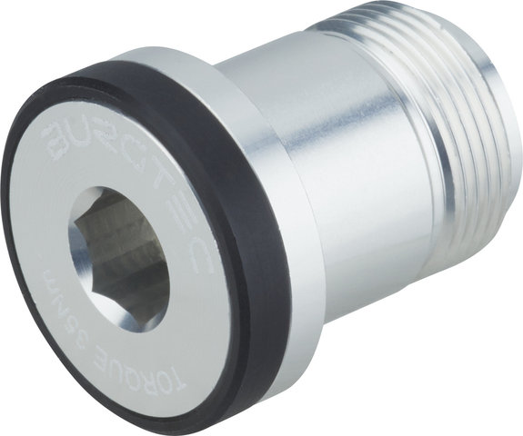 Burgtec Sram T-Type Derailleur Bolt - Bolt 1 - rhodium silver