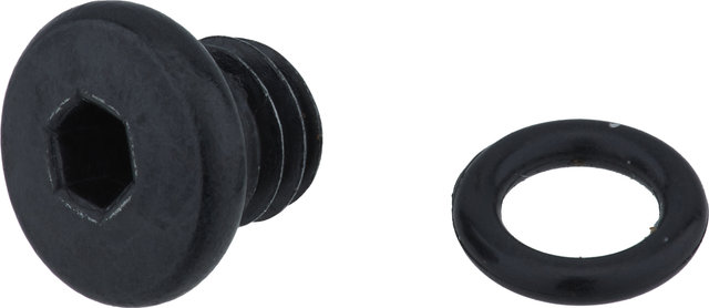 Shimano Vis de Purge avec Joint pour ST-EF505 - universal