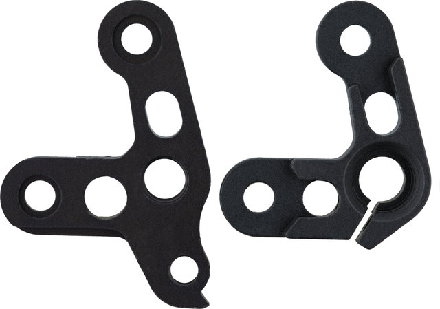 Santa Cruz Schaltauge für V10 - universal/Typ 4