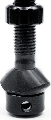 NoTubes Tubelessventil Exo-Core - 2 Stück - schwarz/SV/regular