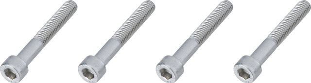 Burgtec Bolts for Direct-Mount Stem Spacers - silver/M6x40