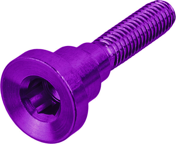 Hope Ersatzschraube für Ahead Kappe - purple