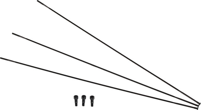 SRAM Rayons pour Set de Roues Roam 50 27,5" - black/281 mm