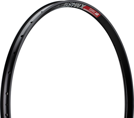 DT Swiss XM 481 Disc 29" Felge - schwarz/32/29"