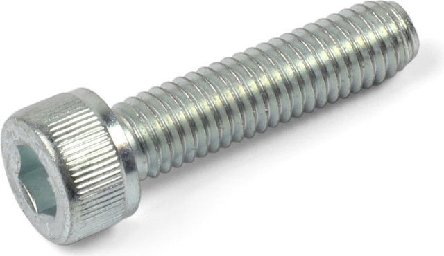 Hope Brake Caliper Bolt - silver | M6x25