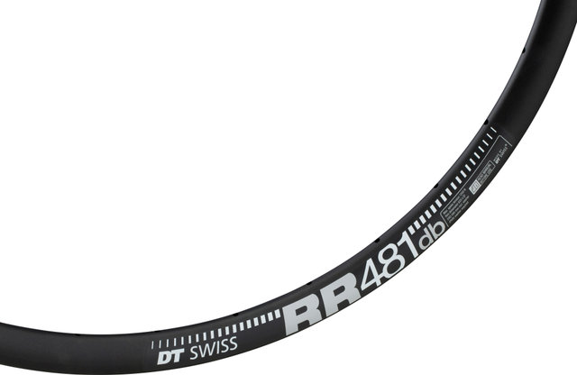DT Swiss RR 481 Disc 29" Rim - black/32/29"