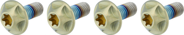 SILCA Titanium Bottle Cage Bolts Torx - gold