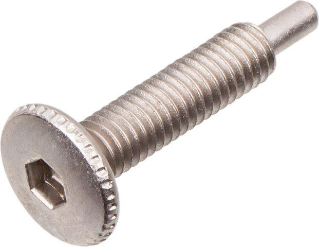 Topeak Chain Breaker Pin for Mini 18+ / Ratchet Rocket - silver