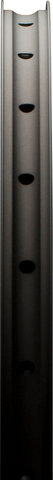 DT Swiss XM 421 Disc 29" Rim - black/32/29"