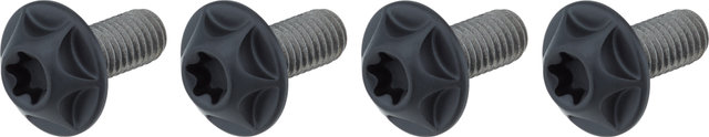 SILCA Titanium Bottle Cage Bolts Torx - black