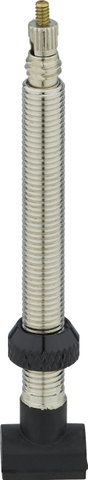 DT Swiss Tubeless Valve for Road Tubeless Kit - silver/53 mm