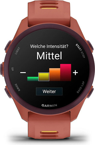 Garmin Forerunner 170 Music Smartwatch - 