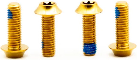 OAK Components Juego de tornillos para portabidones M5x15 Titanio - gold