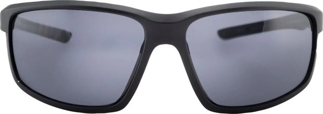 Alpina Defey Sports Glasses - black matte | mirror blue