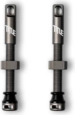 Title MTB Tubeless Ventil-Set - grau/SV/44 mm