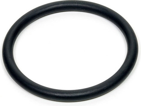 Lupine Junta tórica EPDM - negro/25,4 mm