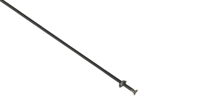 Shimano Ersatzspeiche WH-M8000-TL / WH-M8020-TL 29" - schwarz/300 mm