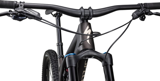 Specialized Bici de montaña Stumpjumper EVO Comp Carbon 29" Modelo 2023 - satin doppio-sand/160 /29"/L