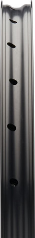 Race Face ARC Offset 30 29" Felge - black-grey/32/29"