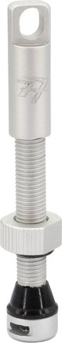 77designz Set de 2 valves tubeless - silver