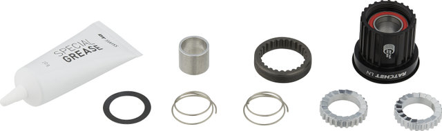 DT Swiss Kit de actualización 3 Pawl para Ratchet LN - aluminio/Shimano MTB/3 trinquetes/Shimano MTB