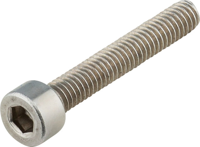 Wolf Tooth Components B-screw 25 mm - silver