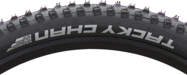 Schwalbe Tacky Chan Evolution ADDIX Ultra Soft Super Gravity 29" Folding Tyre - black/29 /62 mm/62-622/2.4 