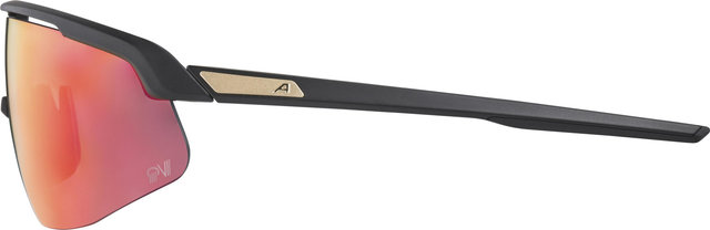 Alpina Turbo Pro QV Sports Glasses - black matte | rainbow mirror