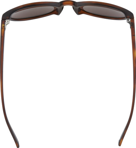 POC Know Glasses - tortoise brown/clarity road-sunny silver