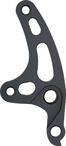 Santa Cruz Derailleur Hanger for Hardtails - universal/type 1