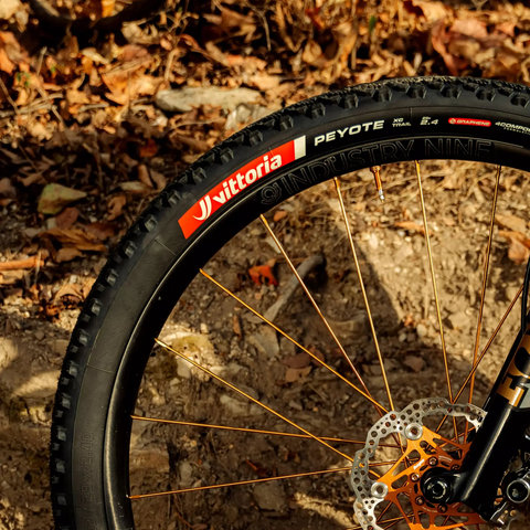Vittoria Peyote XC Trail TLR 29" pneu pliant - schwarz | 2.6 | 29 | 65-622