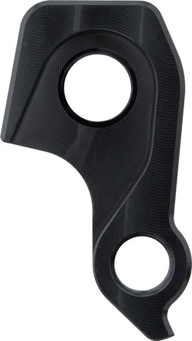 Santa Cruz Patte de Dérailleur pour Tallboy - universal