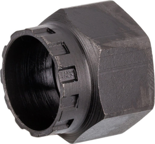 ParkTool Llave de rodamientos de cartucho BBT-5 / FR-11 para Campagnolo - negro
